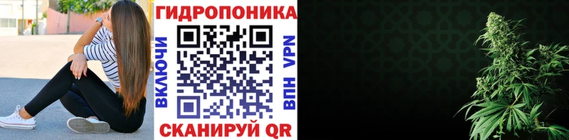 Бошки Шишки VHQ Хадыженск